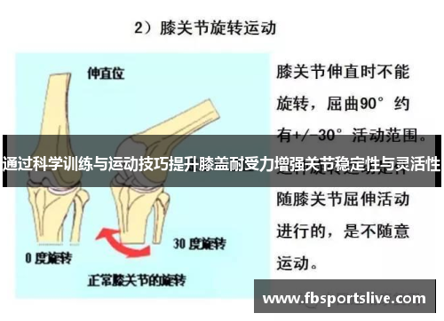 通过科学训练与运动技巧提升膝盖耐受力增强关节稳定性与灵活性