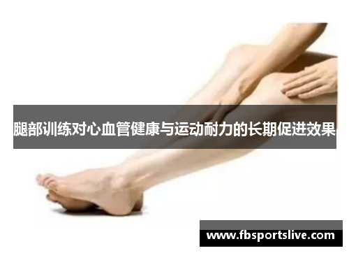 腿部训练对心血管健康与运动耐力的长期促进效果